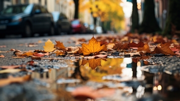 Sezonowy auto detailing – co warto robić jesienią?